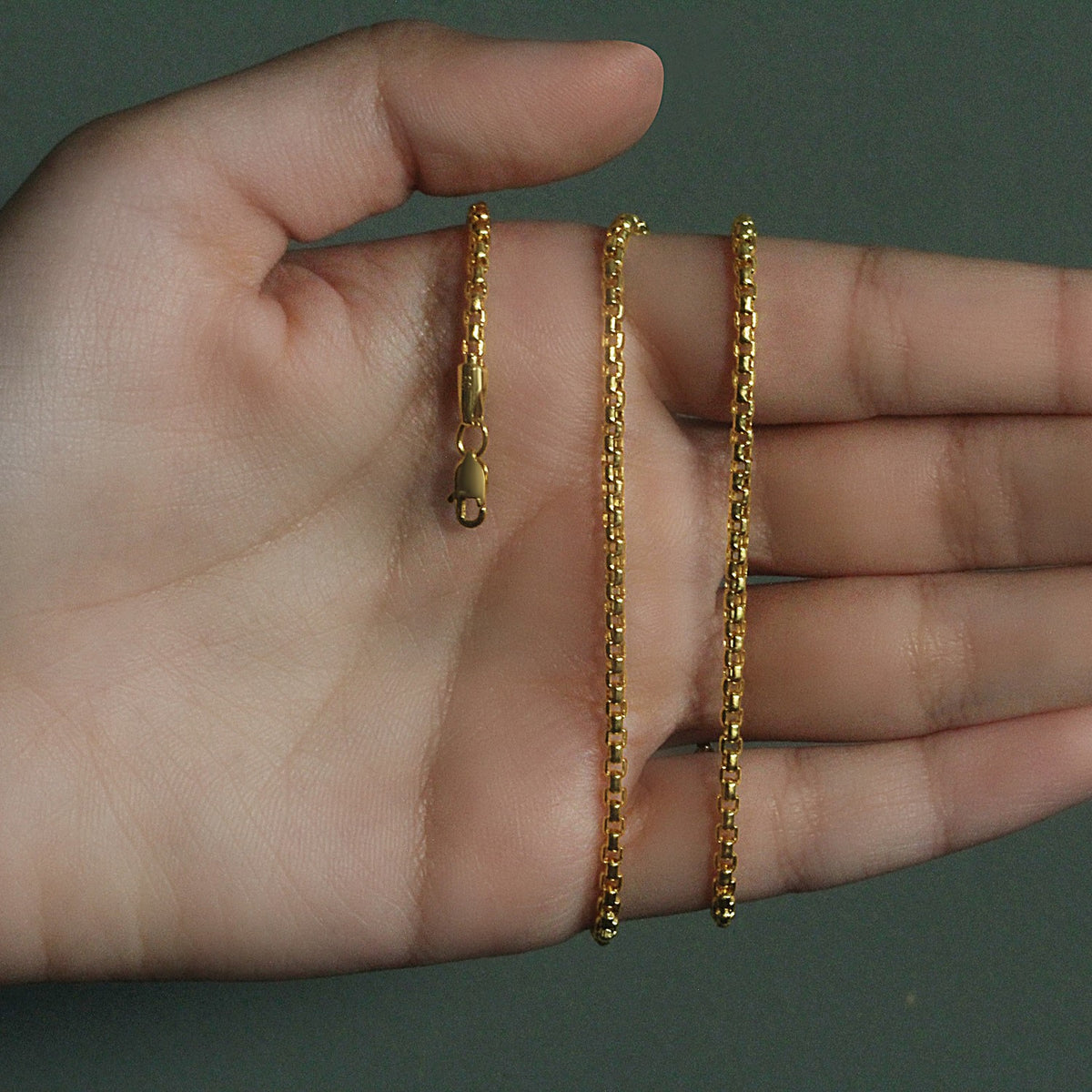 14k Yellow Gold Round Box Chain (2.5 mm)